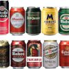 Spanisches Bier - Geschenke, 10 Dosen 330 ml, San Miguel, Cruz Campo, Estrella Galicia, Mahou – Bild 3